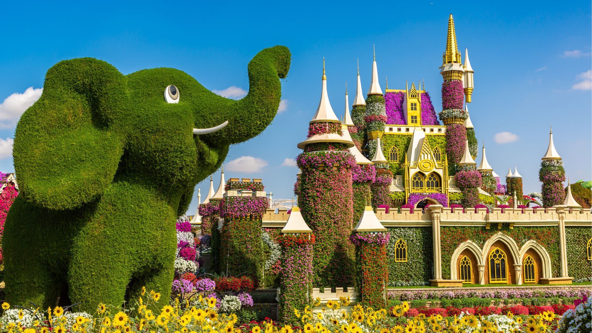 Dubai Miracle Garden