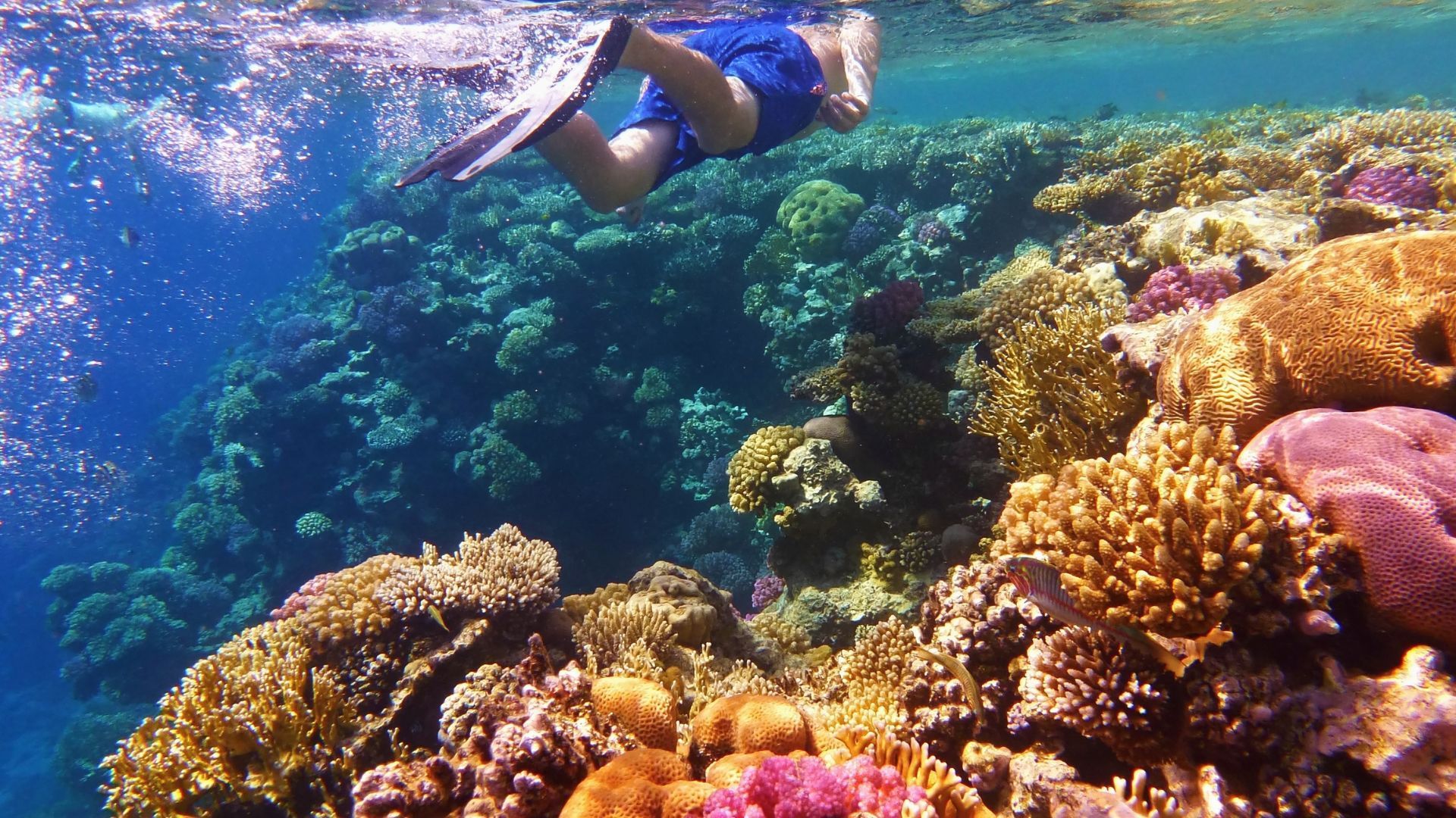 things to do in Australia