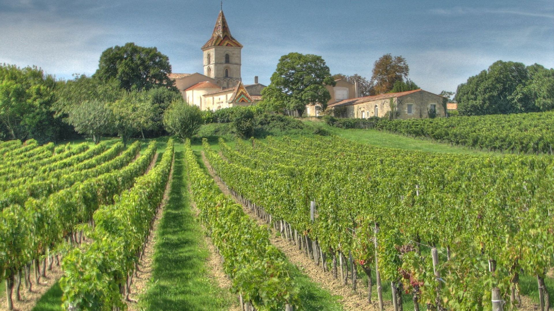 French wines