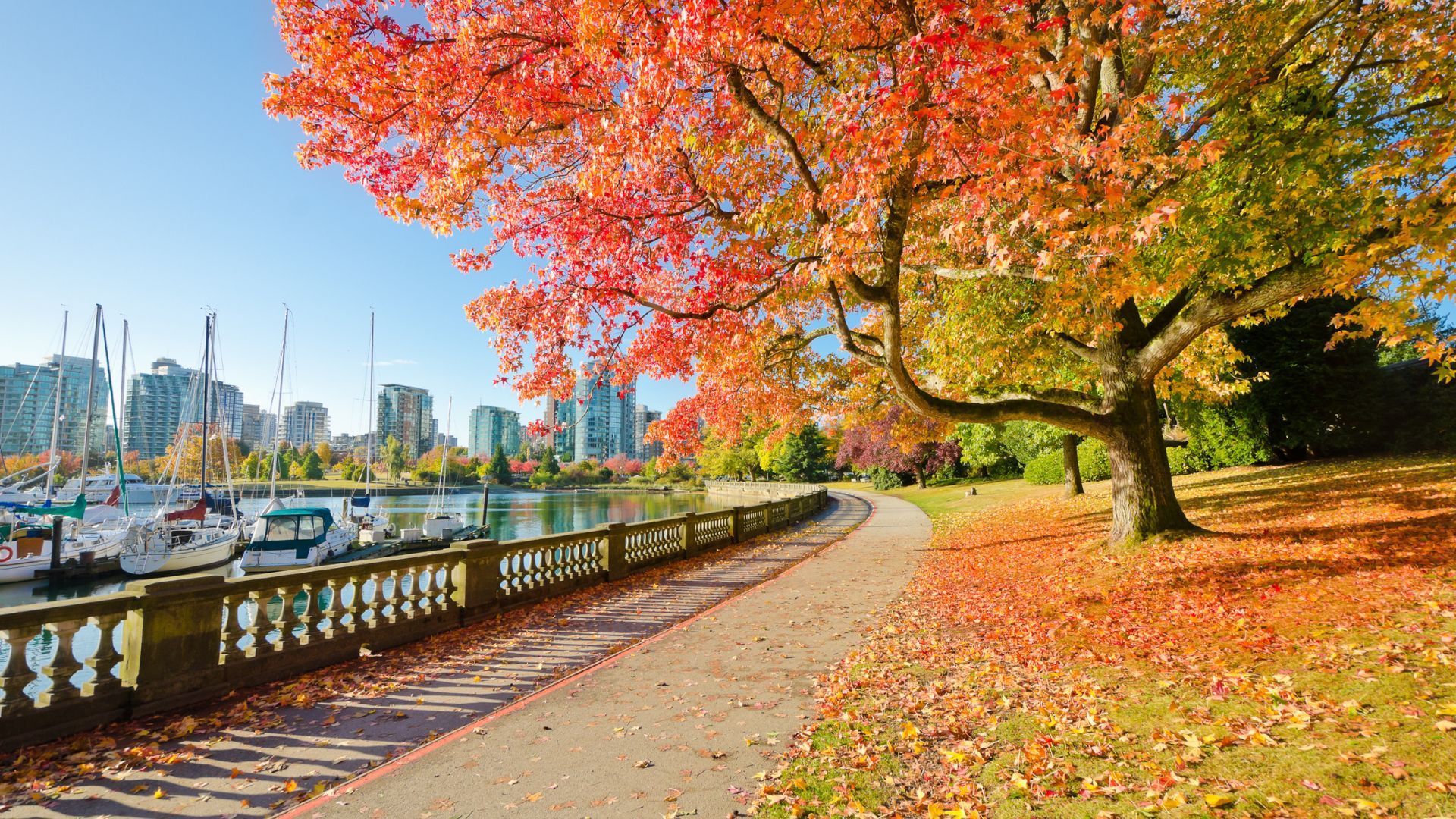 Spring in Canada
