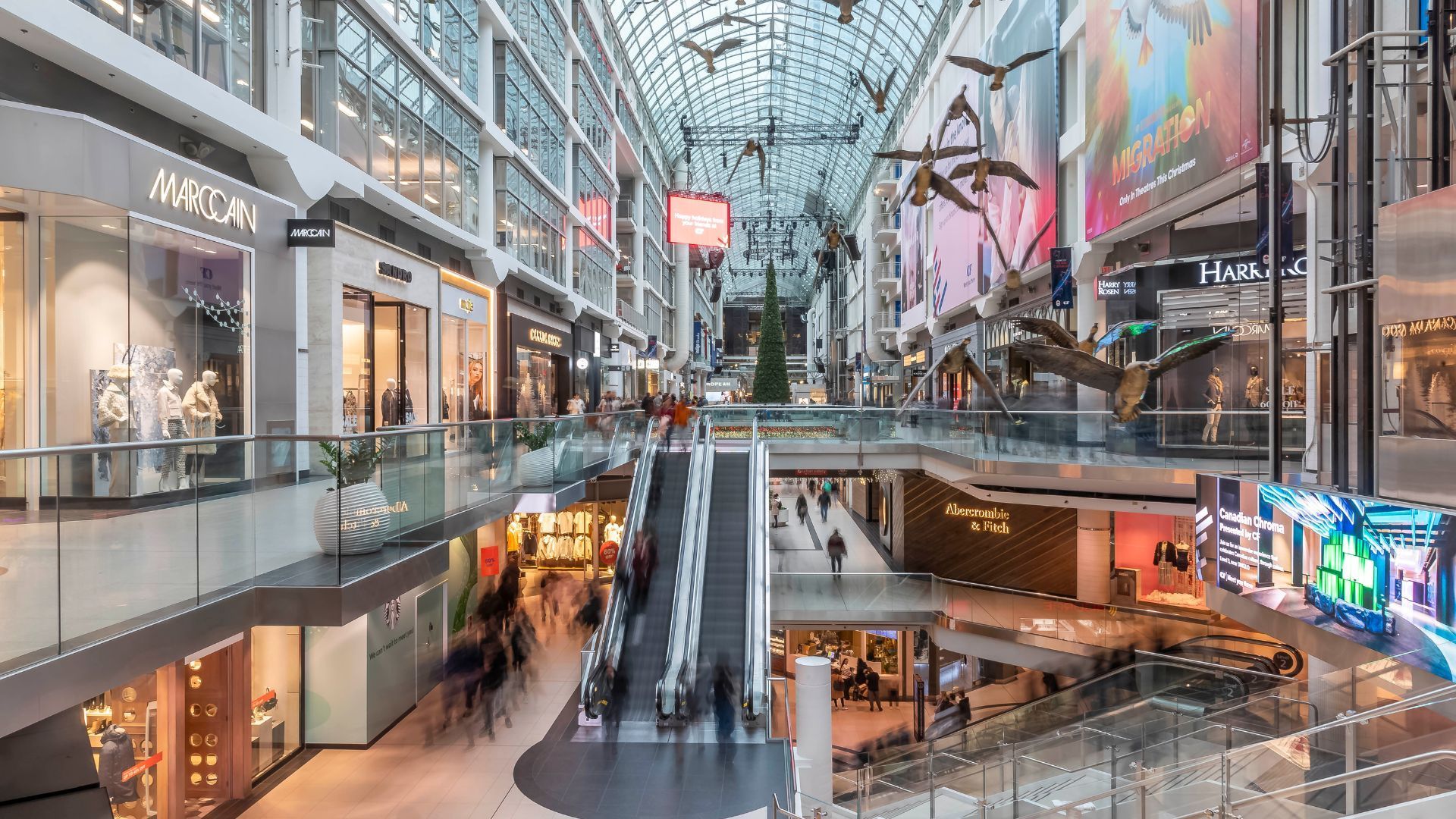 Toronto vs Vancouver