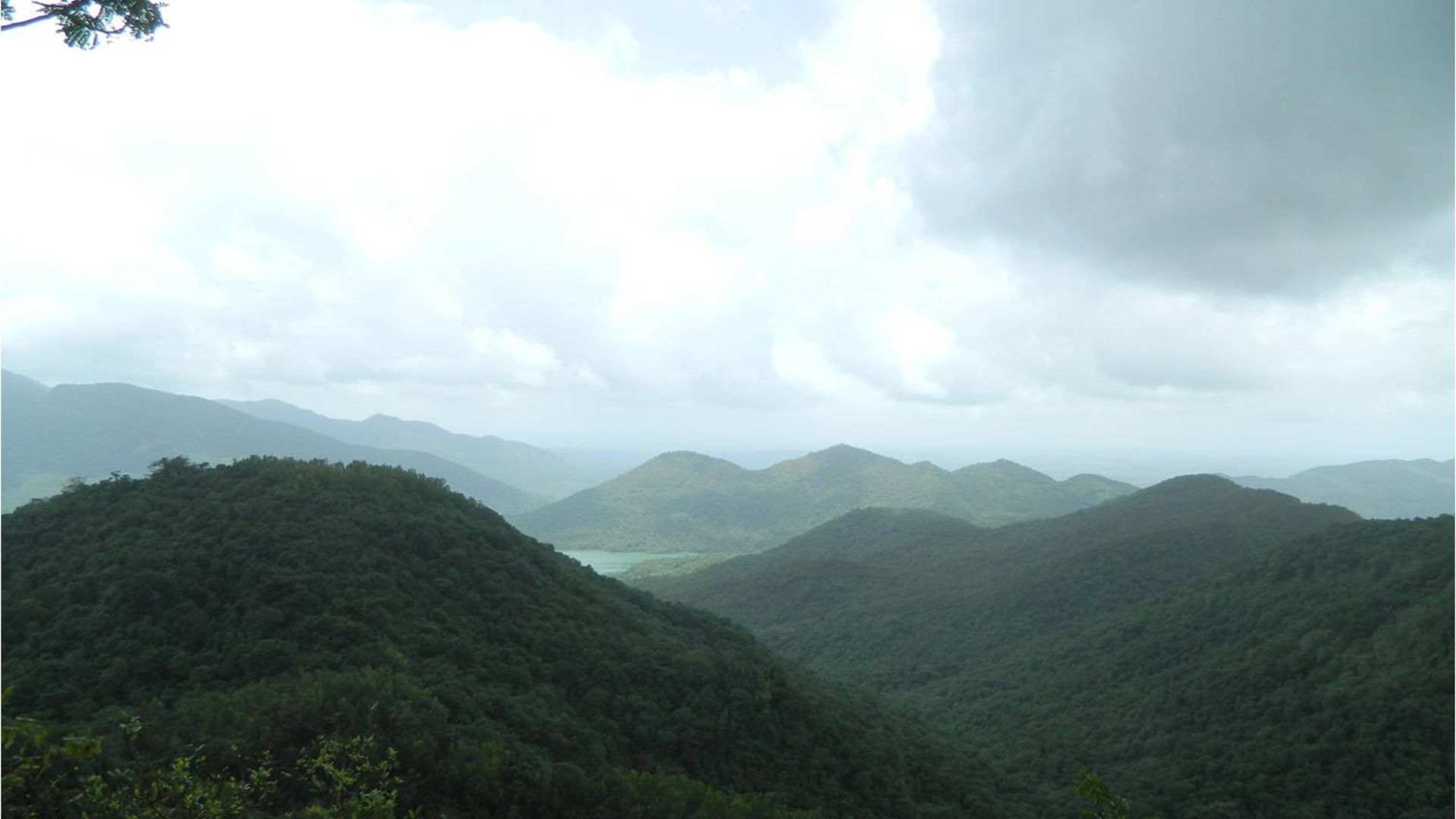 monsoon safari india