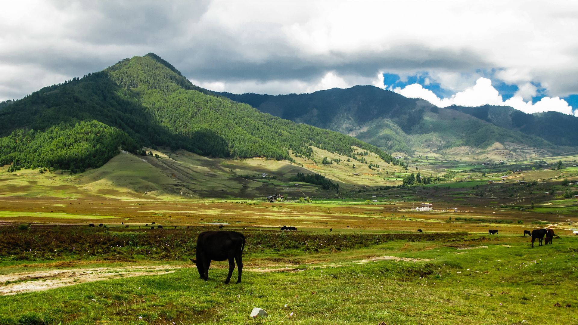 Phobjikha Valley