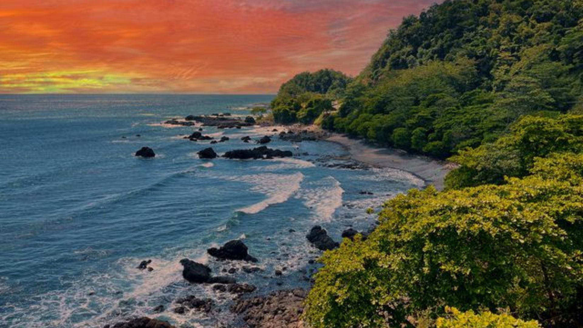 Manuel Antonia National Park