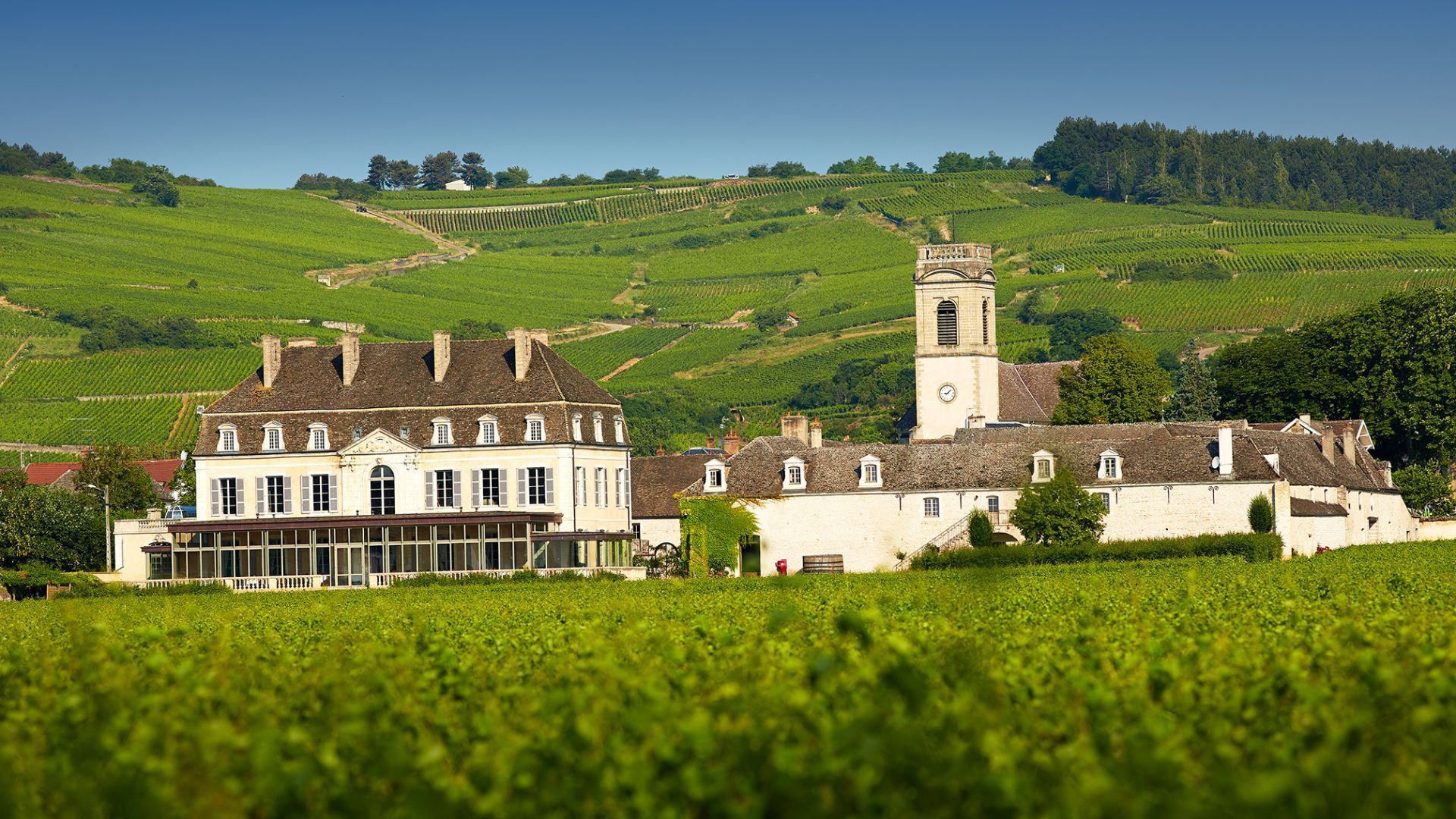 Chateau de Pommard