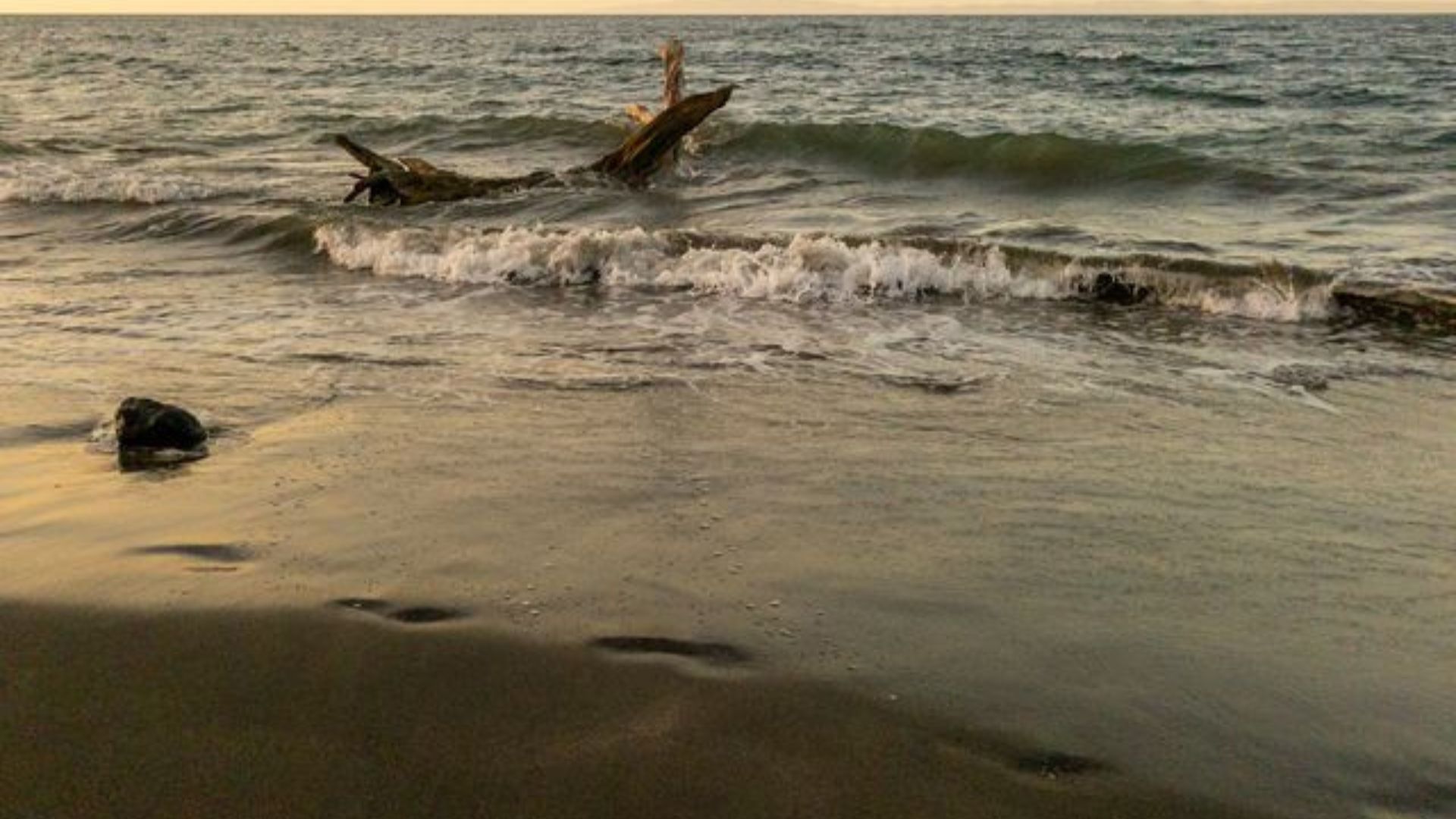Playa Matapalo