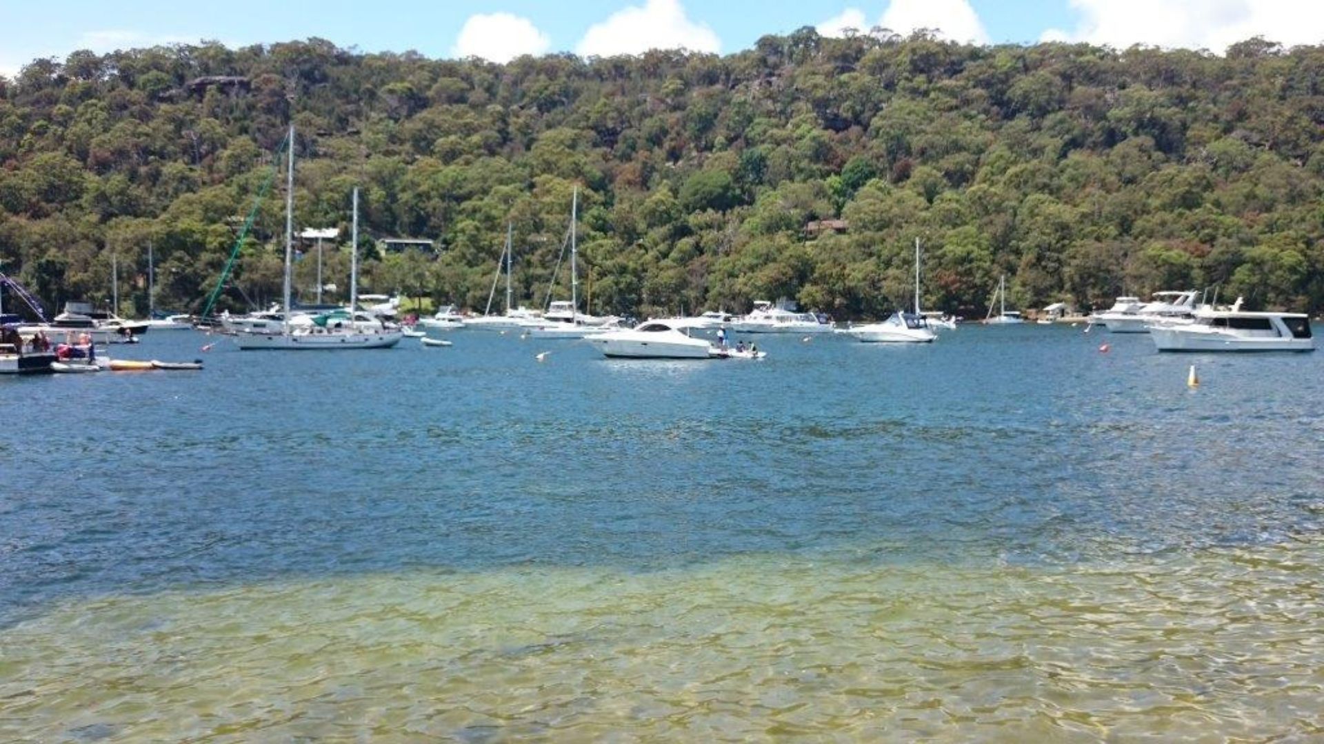 Ku-ring-gai Chase National Park