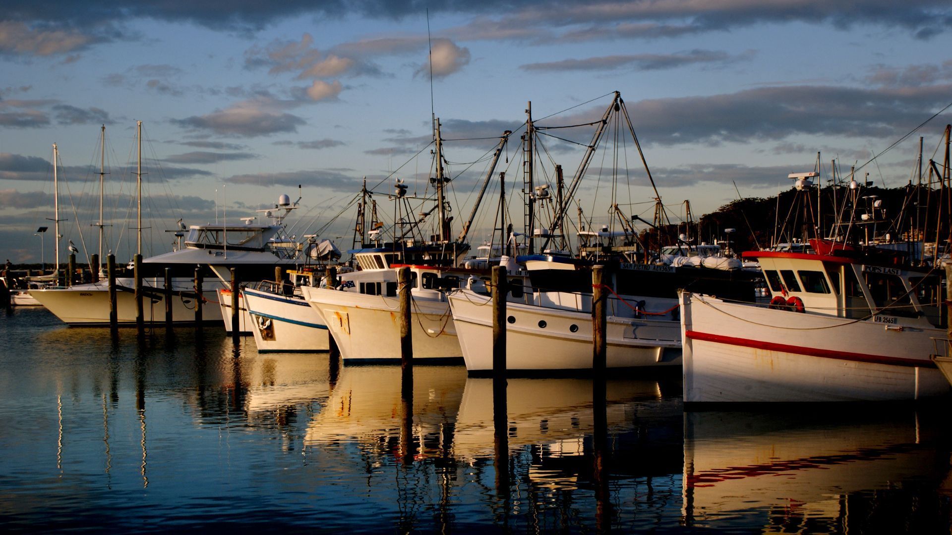 Port Stephens