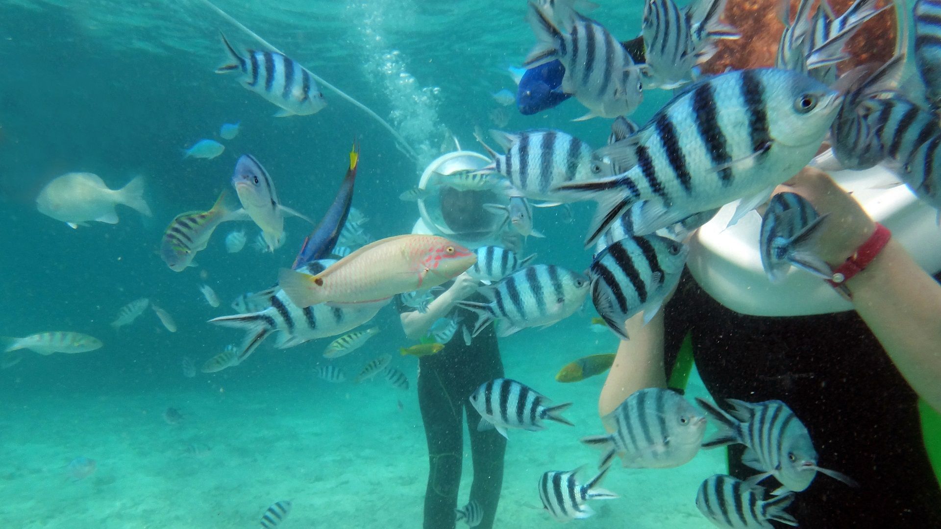 Water sports in Andaman
