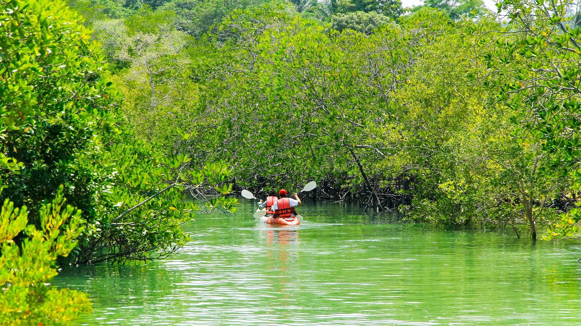 Kayaking