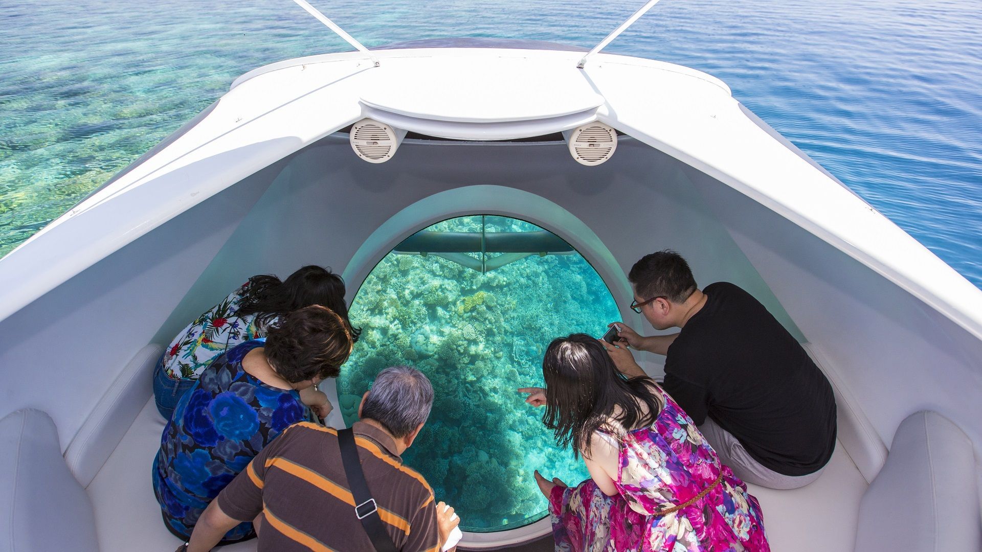 Glass Bottom Boat