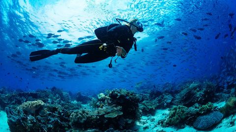 Exploring The Underwater Realms: A Complete Guide To Water Sports In The Andamans