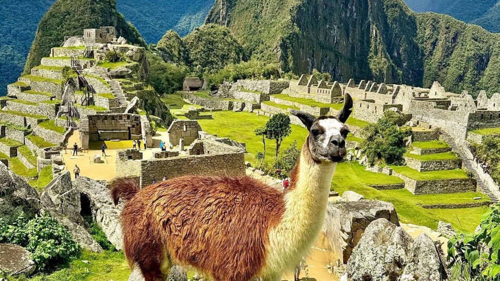 Travel seven wonders of the world