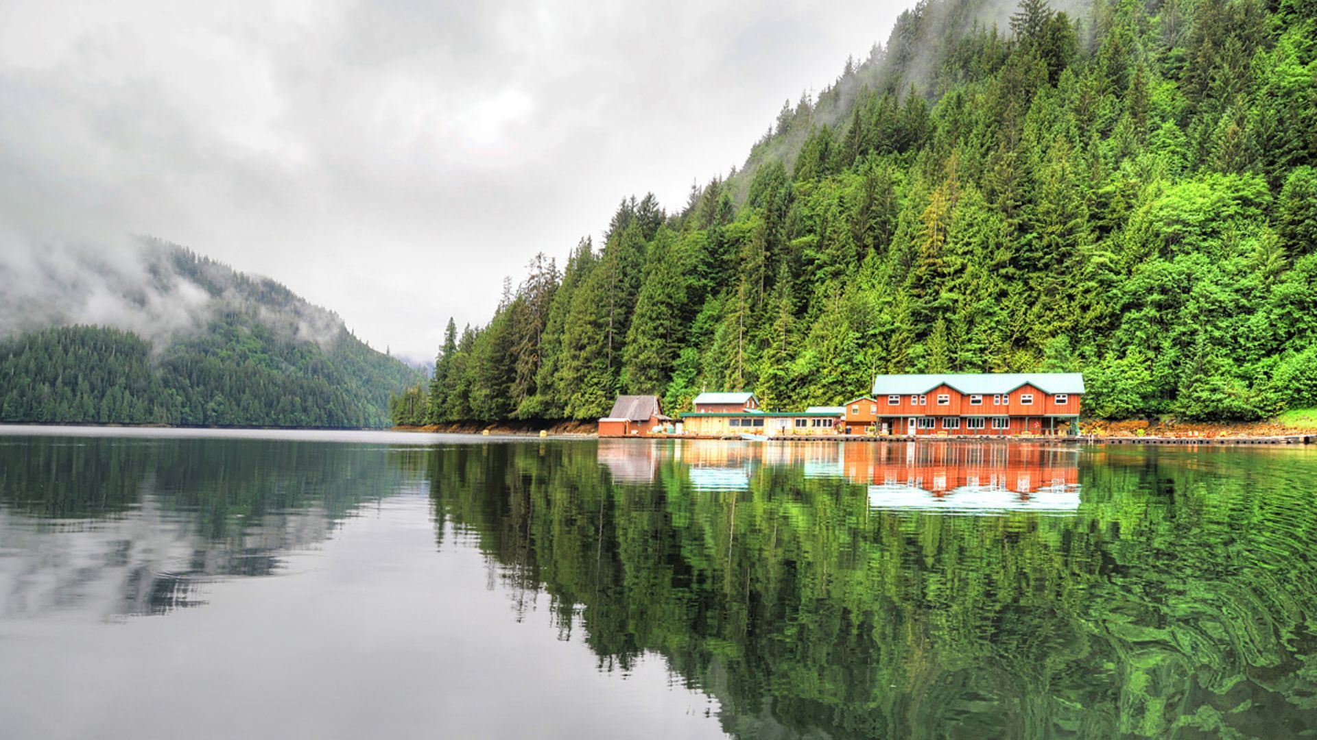 Great Bear Rainforest