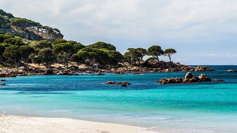 Culture, Beaches, Wildlife… This 10-Day Itinerary Offers An Amazing Australian Adventure