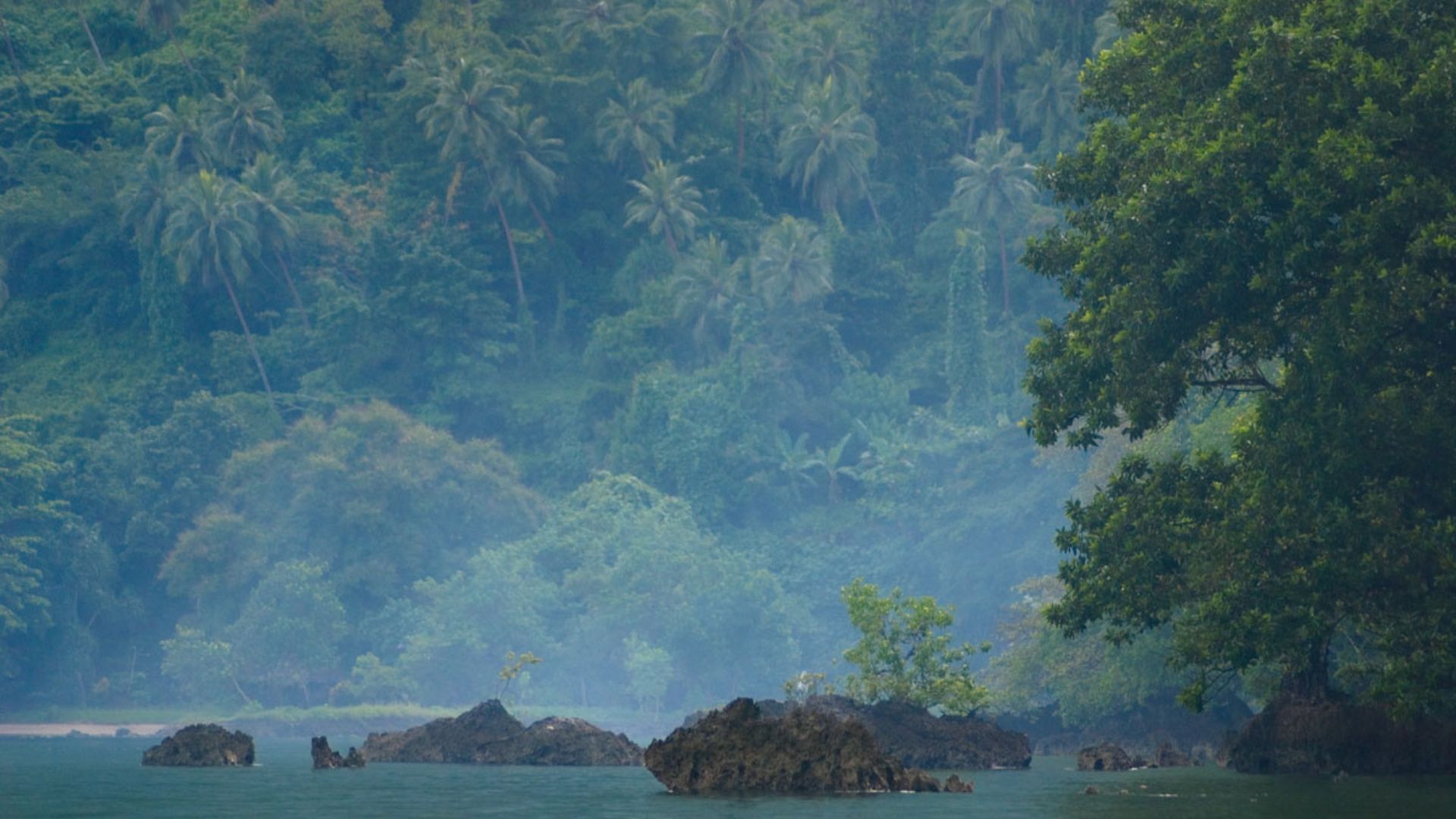 Pentecost Island