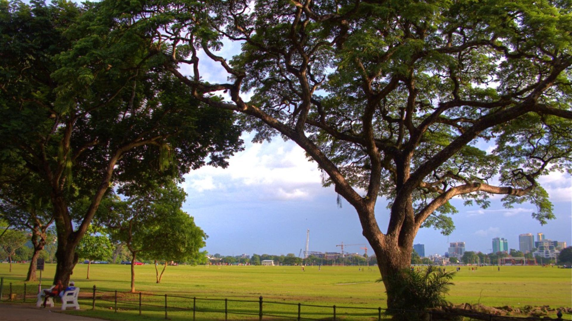 Queen's Park Savannah, Trinidad