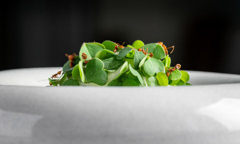 Eat, Drink and Breathe Sustainability and Indulgence at InterContinental Phuket Resort