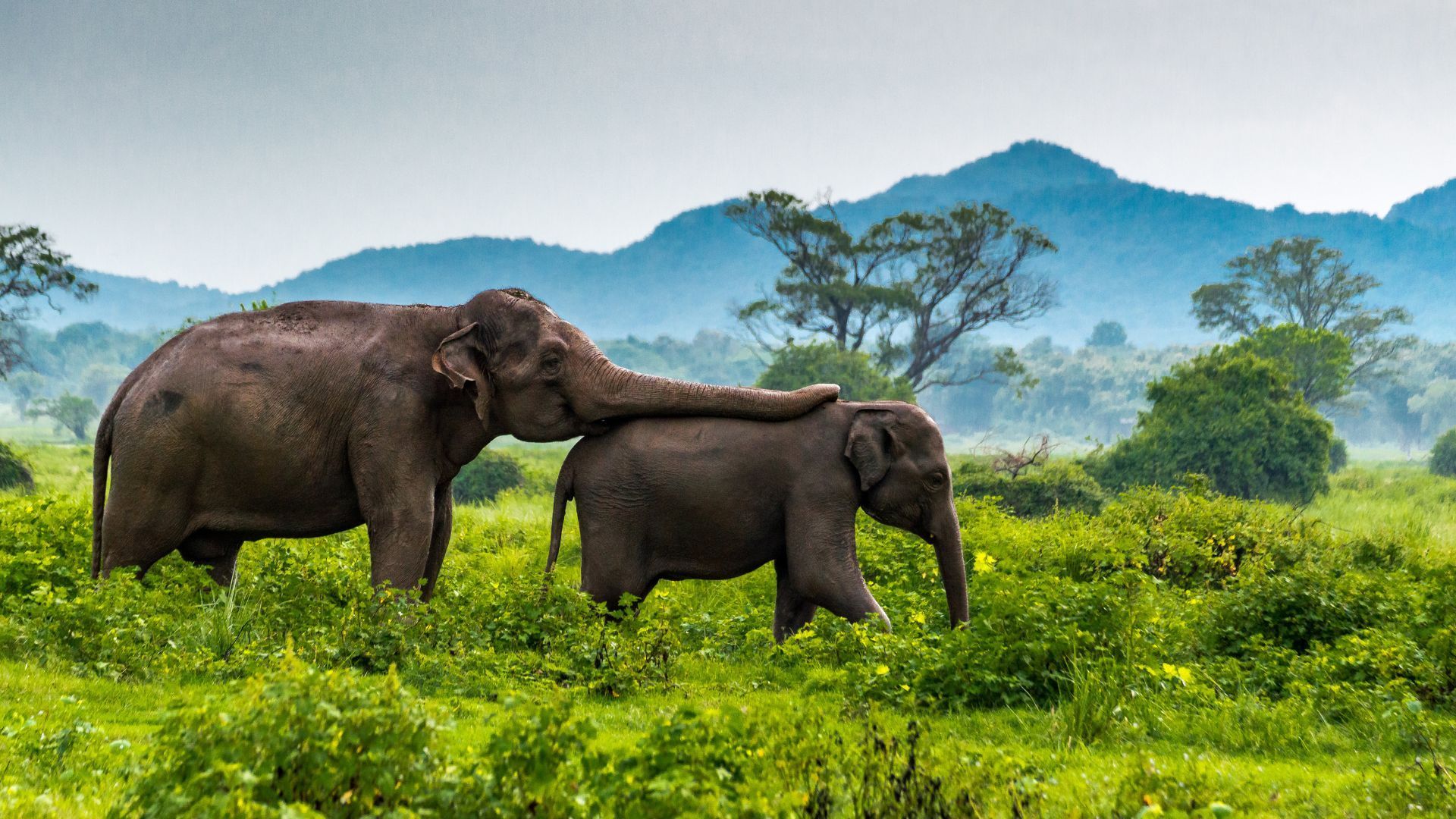 Sri Lanka Itinerary