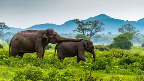 What To Do, Where To Stay, Food To Eat: The Perfect Sri Lanka Itinerary