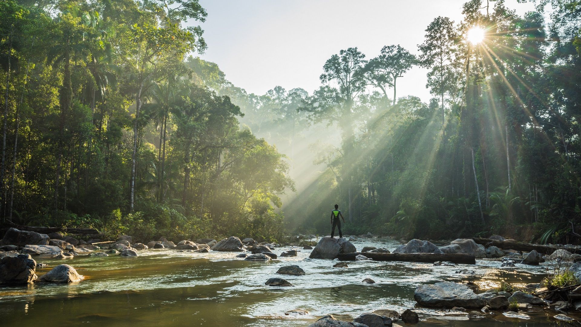 National parks in Malaysia