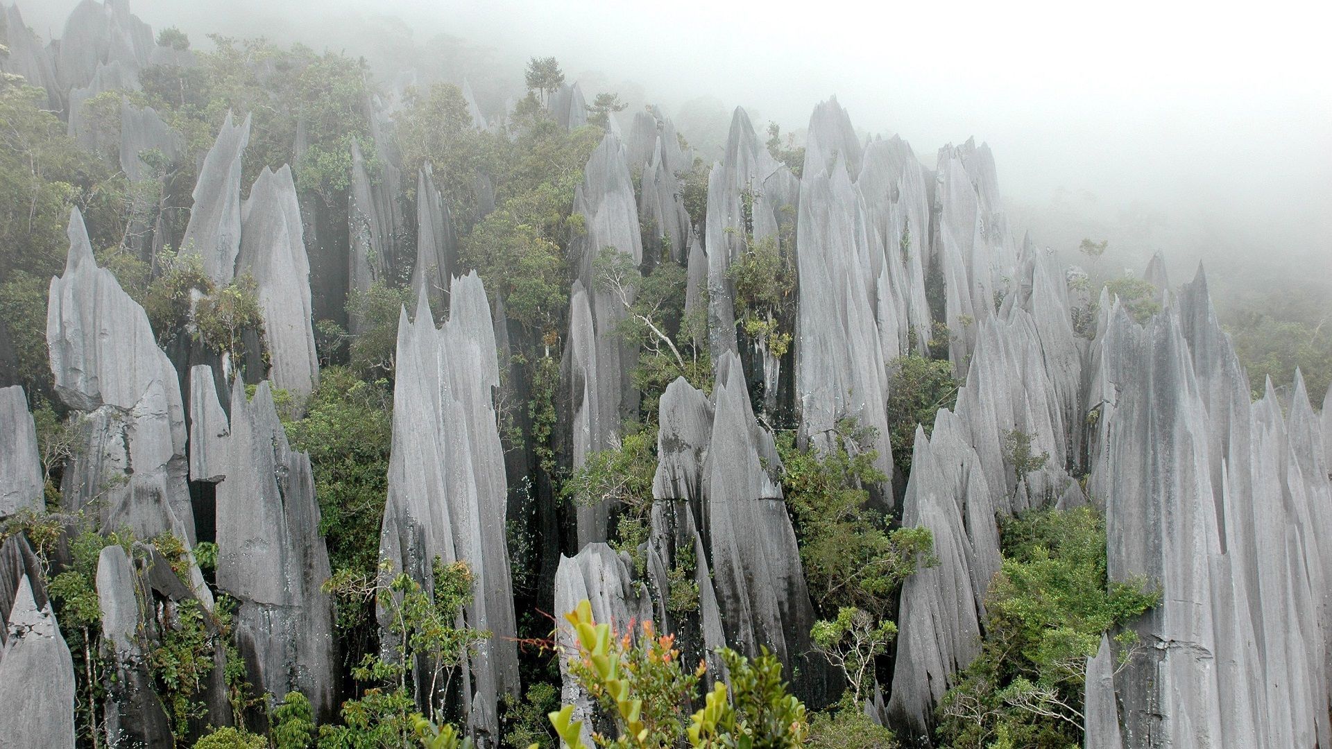 National parks in Malaysia