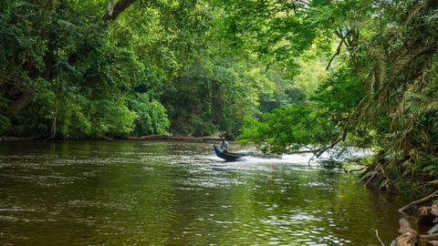 Explore The Natural And Geological Wonders Of Malaysia's National Parks