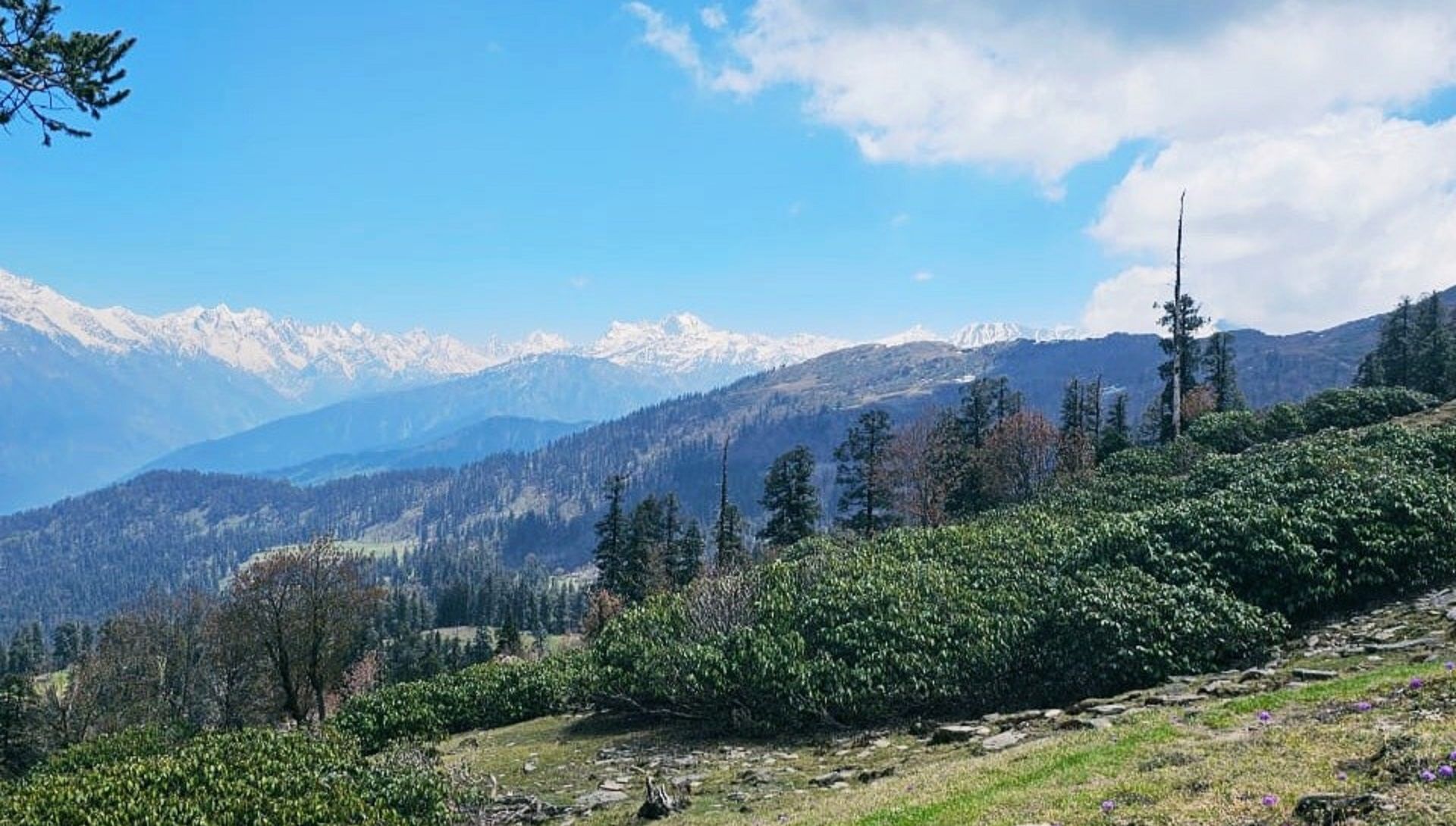 Phulara Ridge Trek
