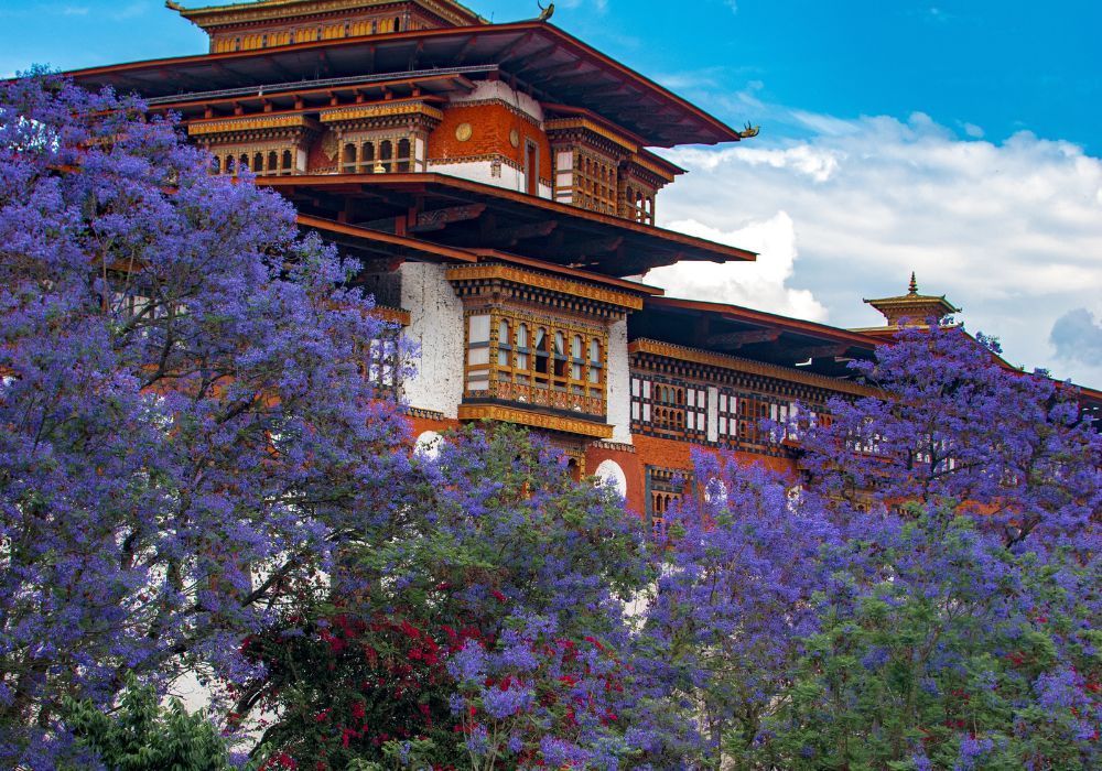 Things To Do In Bhutan