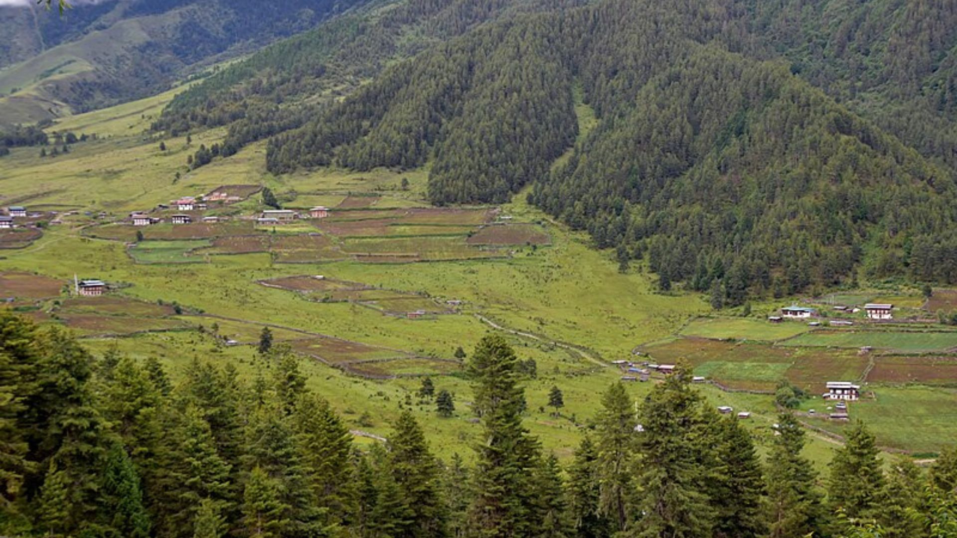 Phobjikha valley