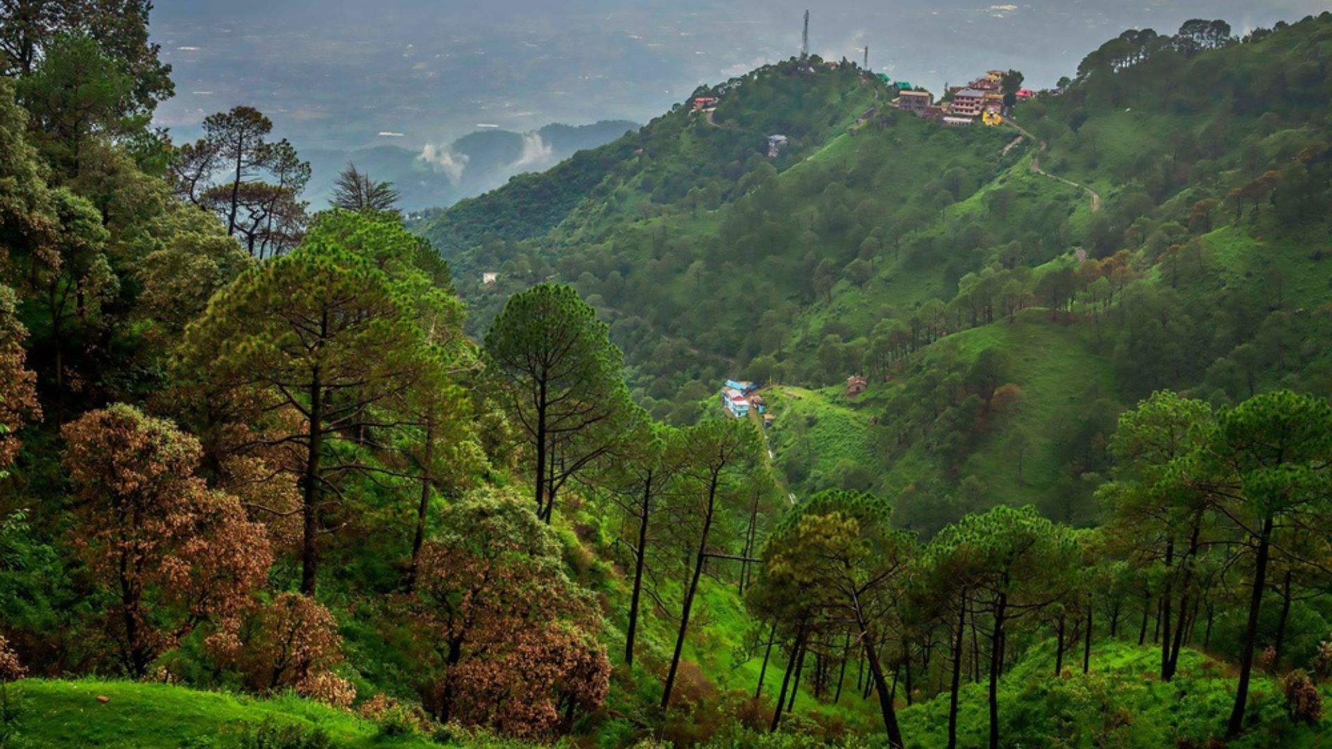 Places To Visit In Solan: Nature, Culture, Adventure In Himachal Pradesh