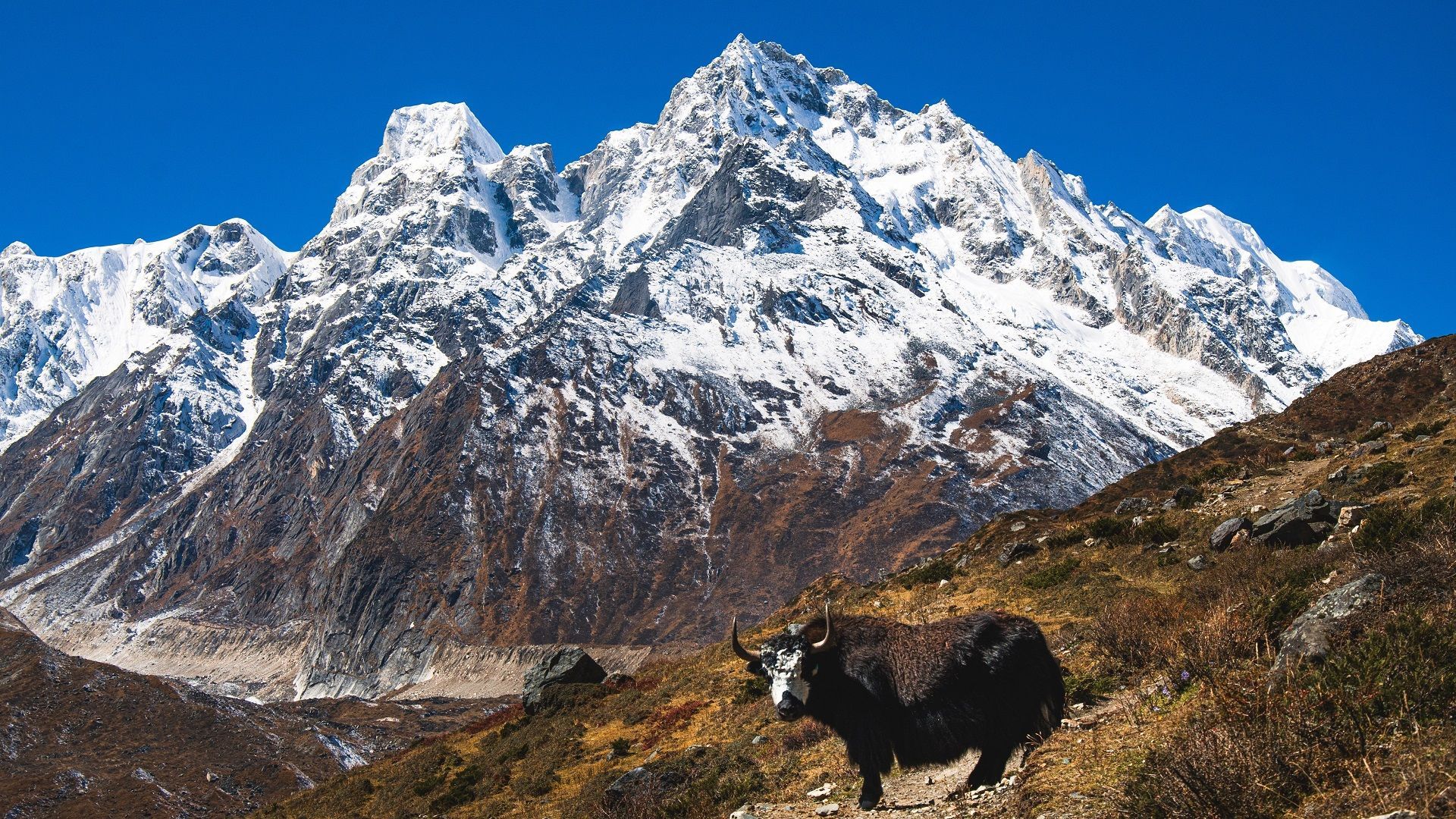 Manaslu Circuit Trek Nepal