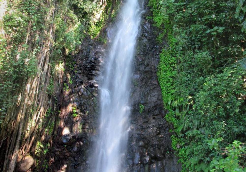 saint vincent and the grenadines