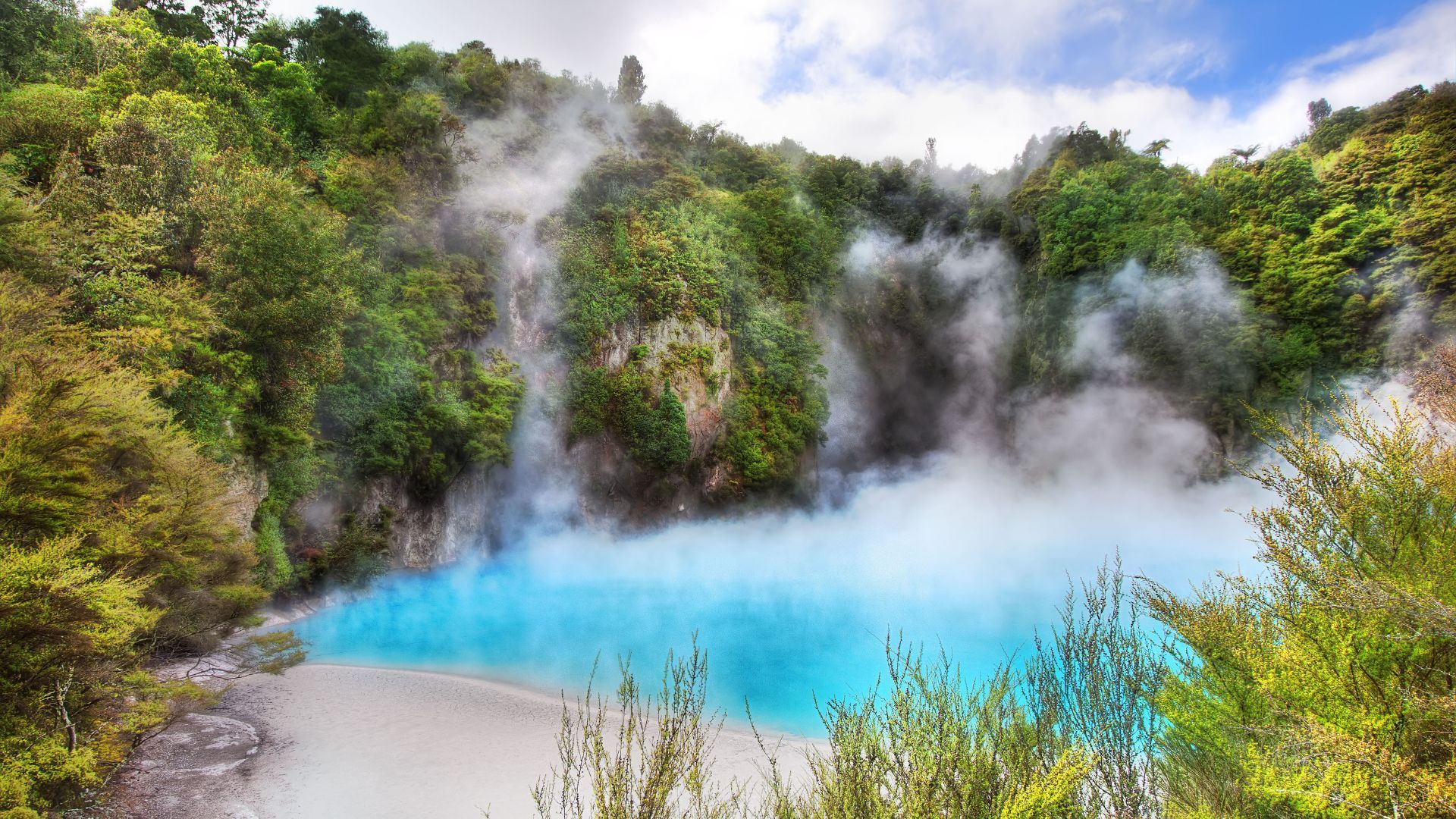 Waimangu Volcanic Valley
