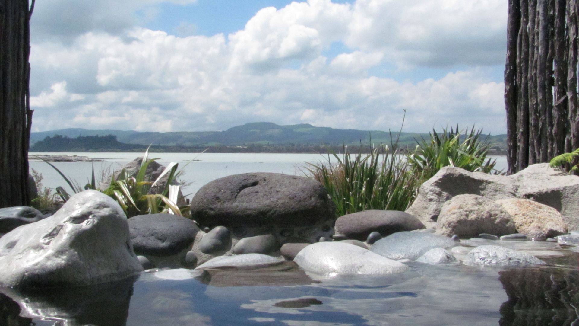 things to do in New Zealand