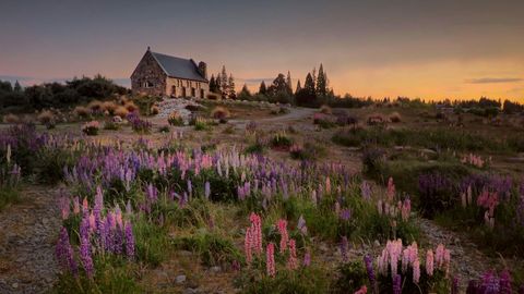 The Most Unforgettable Things To Do In New Zealand