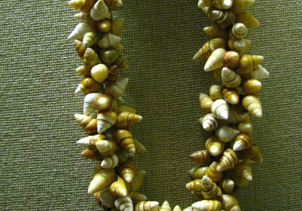 Shell Jewelry