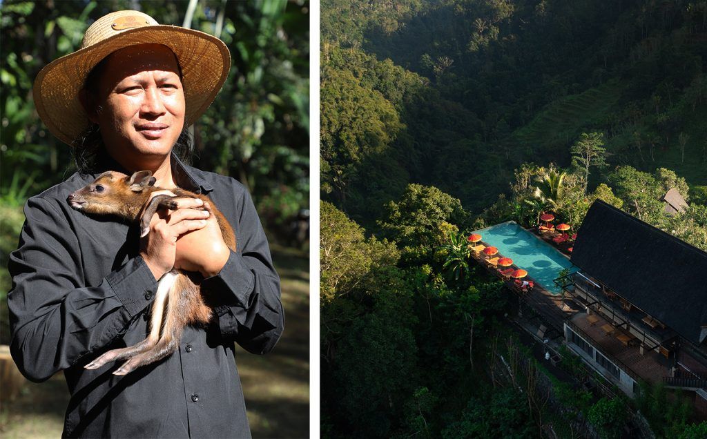 Biophilic Hotels