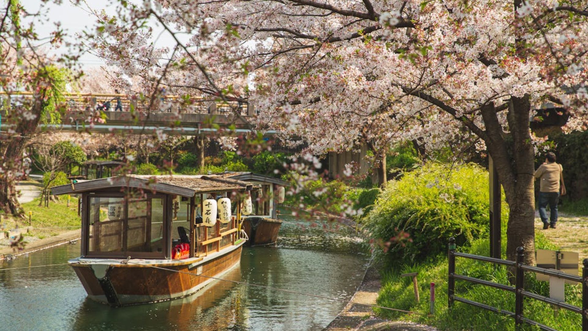 Kyoto, Japan