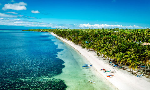 Bewitched in Siquijor: A Brush with Folkloric Filipino Healing