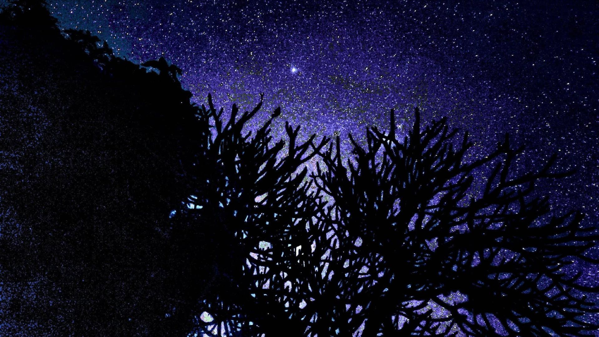 Dark sky sanctuary