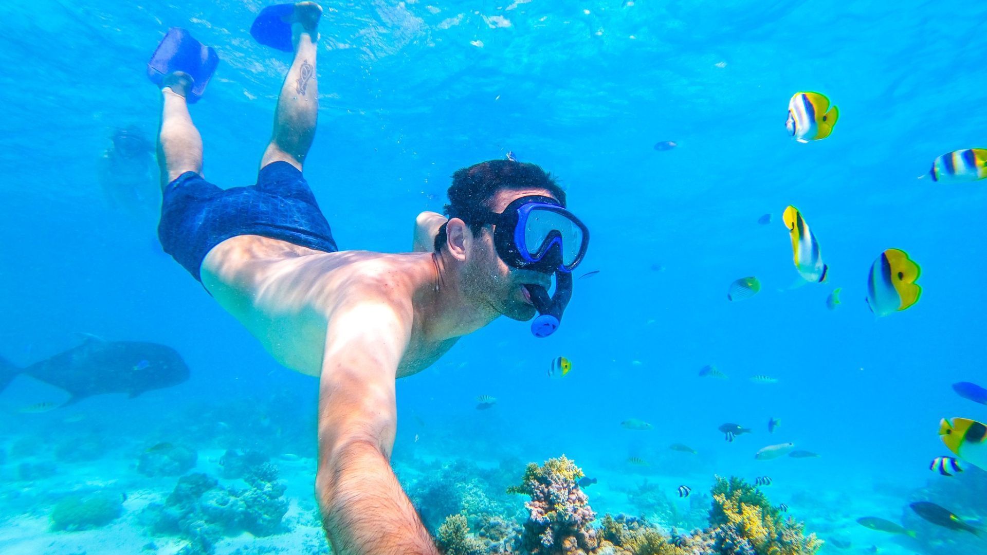 Snorkelling
