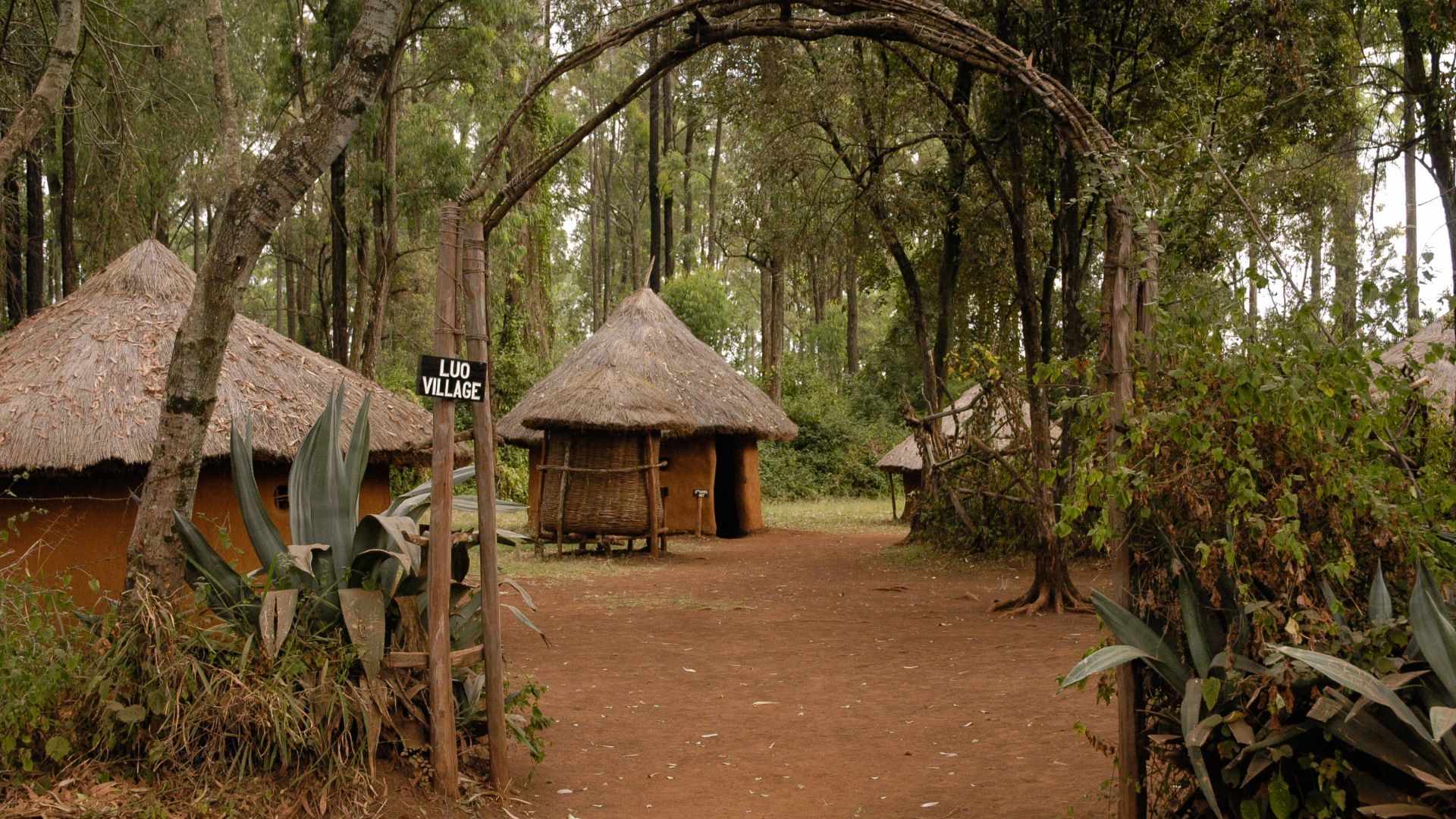 things to do in Kenya