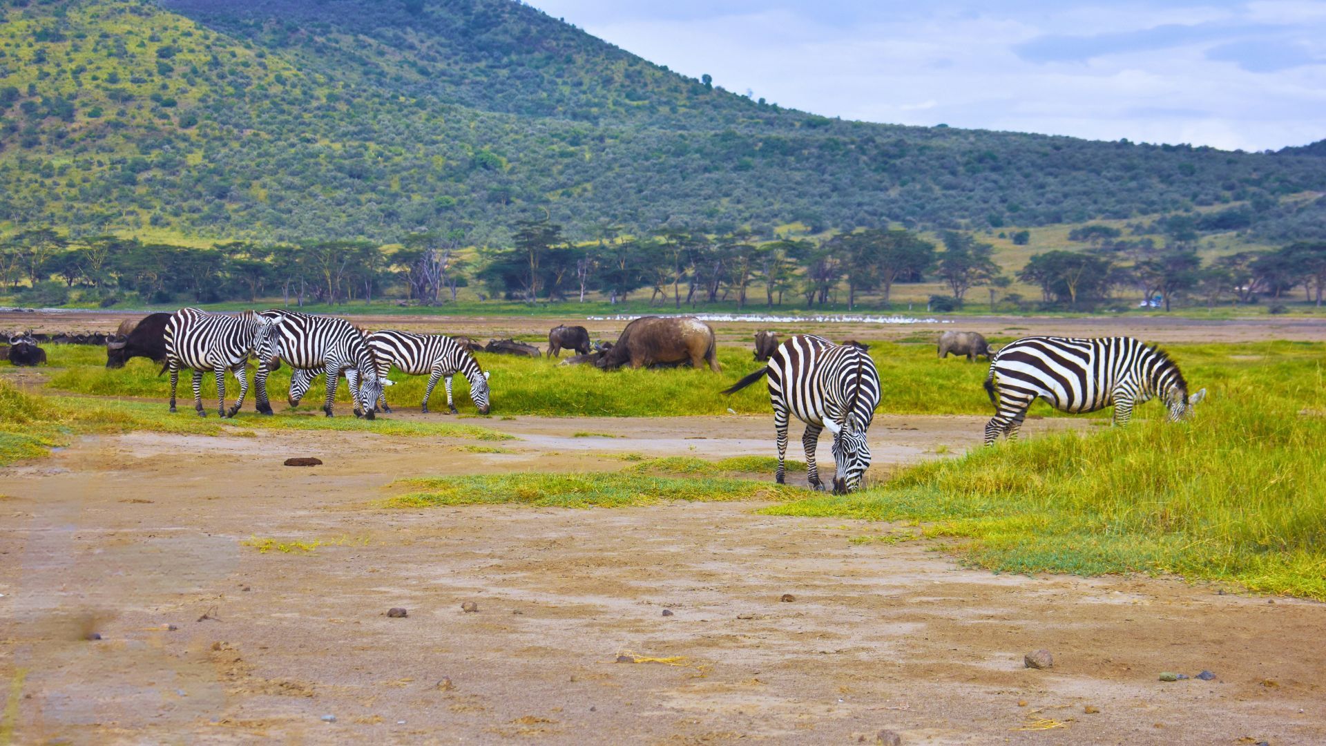 Lake Nakuru National Park