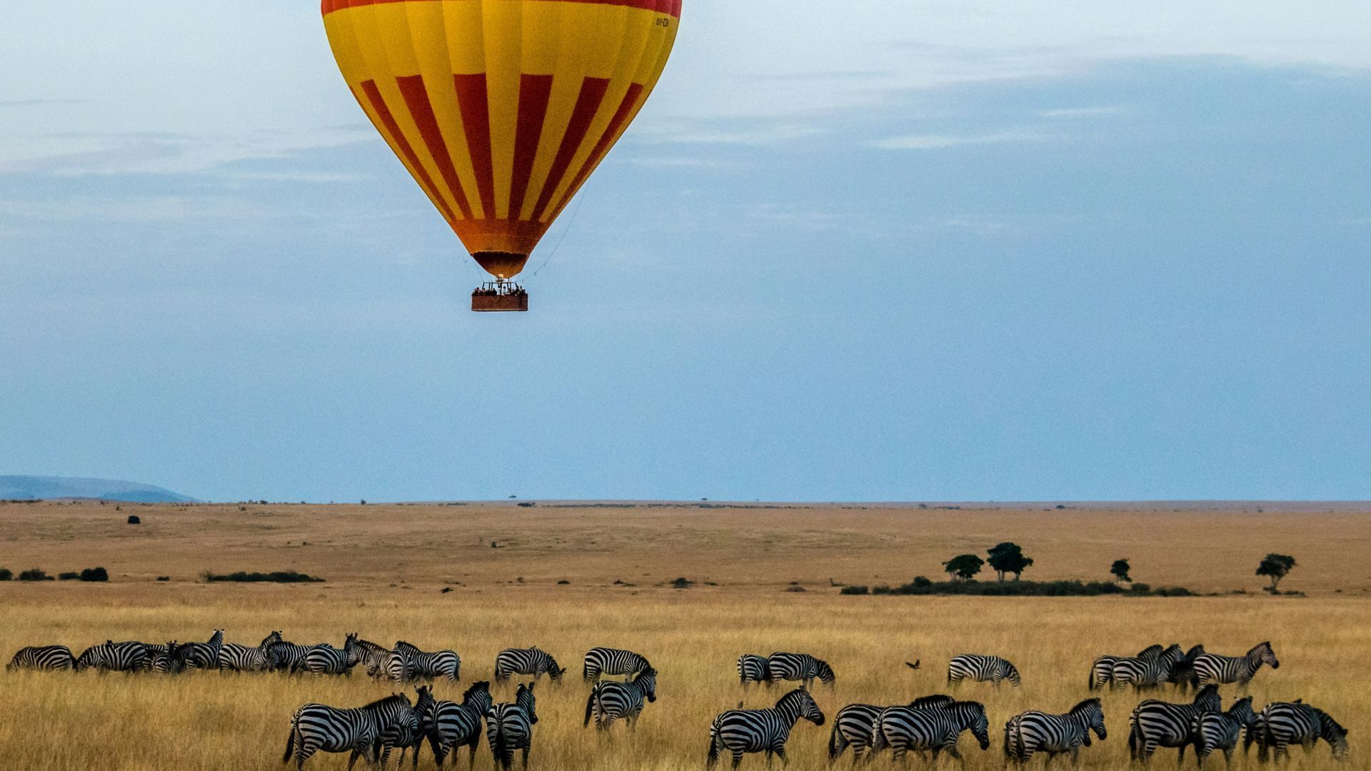 Masai Mara national Reserve