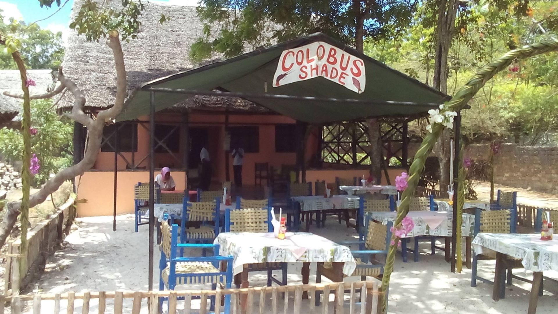 Colobus shade