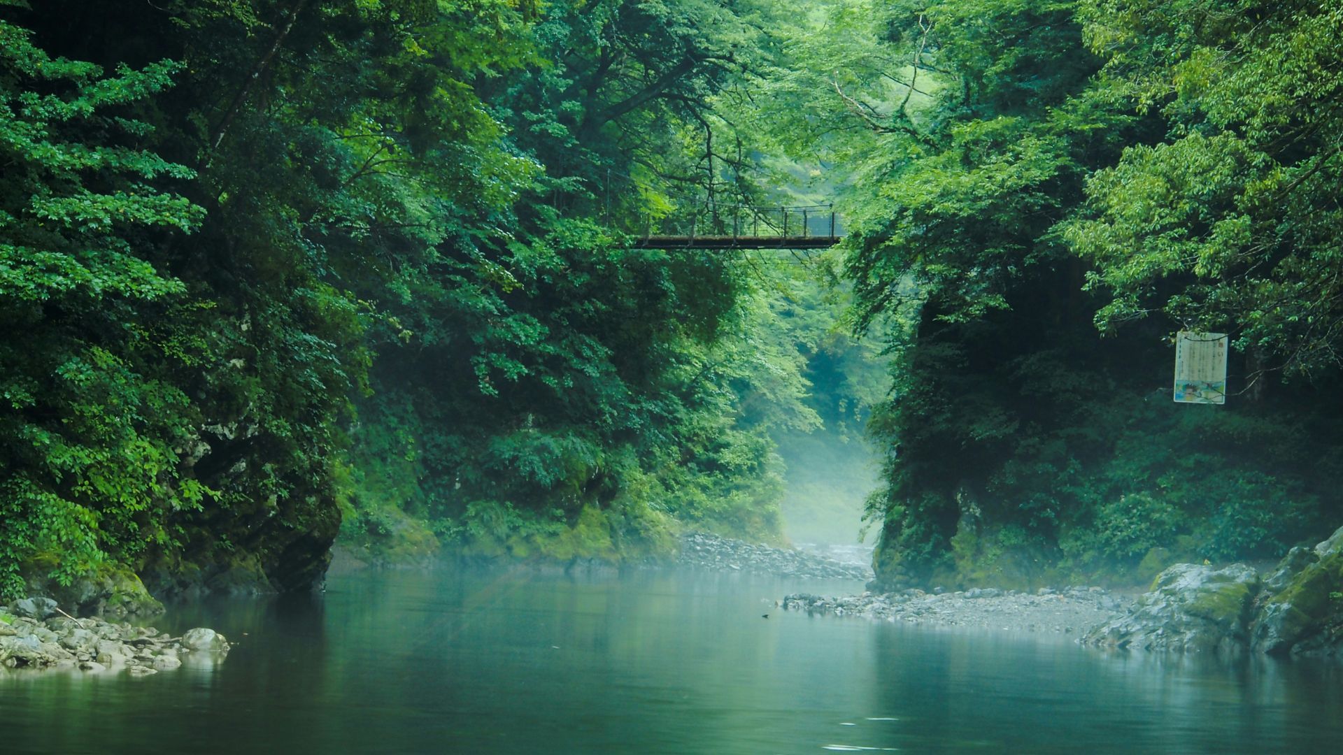 Japan forests