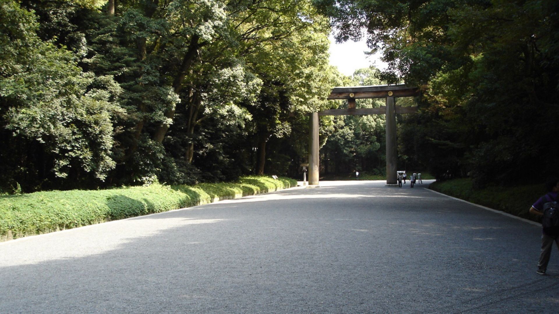 Meiji Jingu Forest