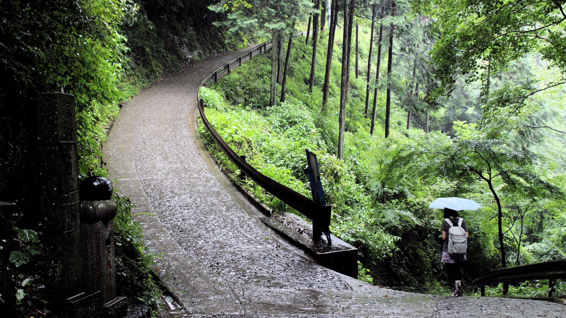 Mount Takao Forest