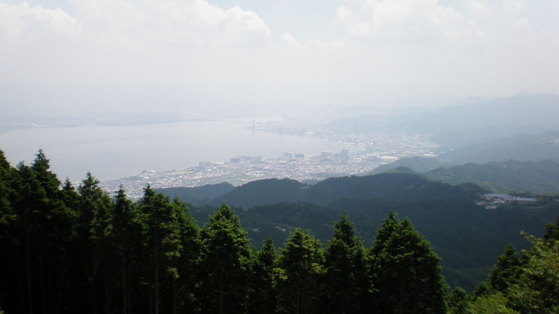Mount Hiei Forest